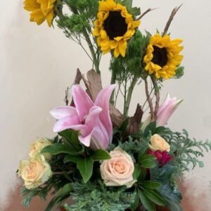 Sunflower glory